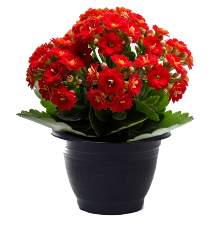 QQQQQQQQQQQQQQQQQQQQQ