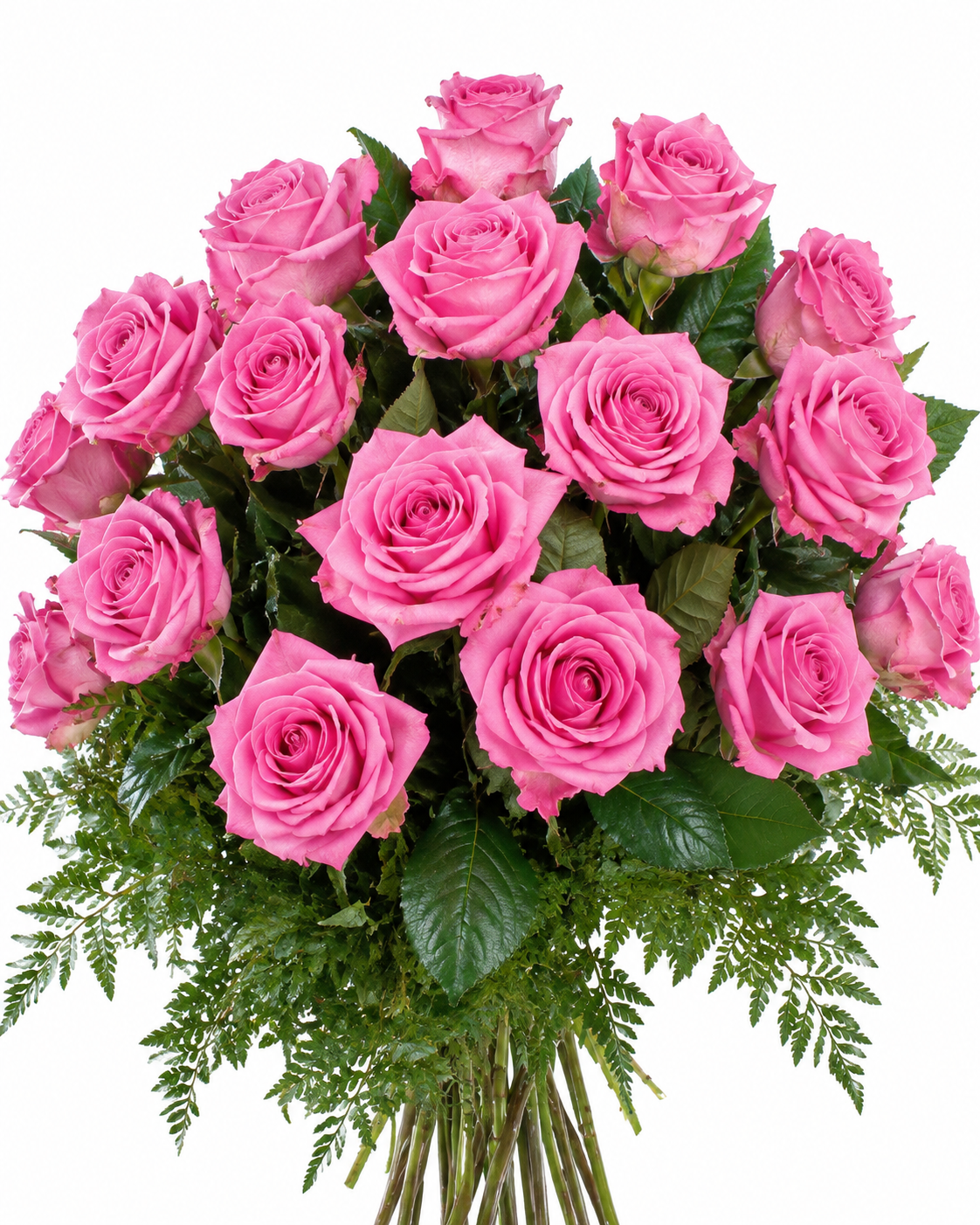 Aqua Rose