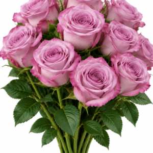 Cool Water Rose