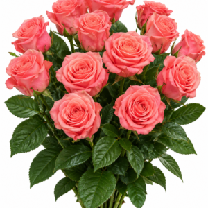 Annakarina Rose