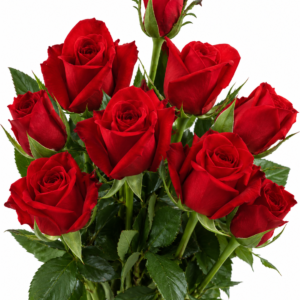 Grand Gala Rose