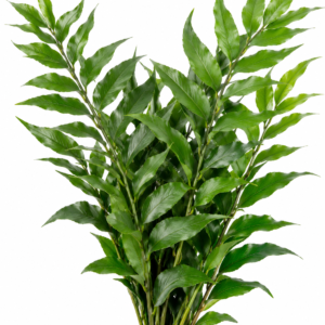 Crytomium