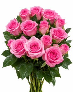 Faela Rose