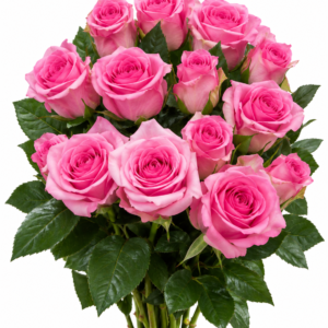 Faela Rose