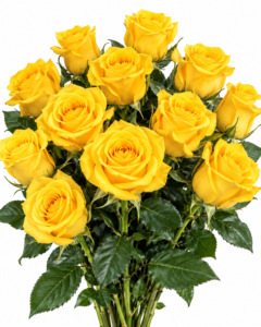 Souza Rose