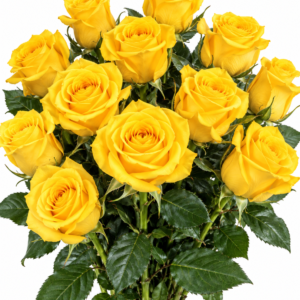 Souza Rose