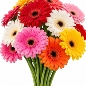 Soap Gerbera