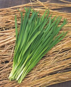 China Grass