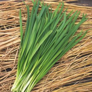 China Grass