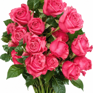 Bubble Gum Rose
